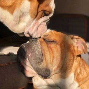 Meet your Posher, Rick